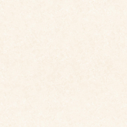 21.P.660.9209